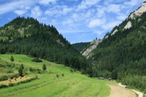 zakopanie