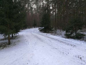 treblinka-11