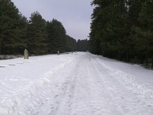 treblinka-24